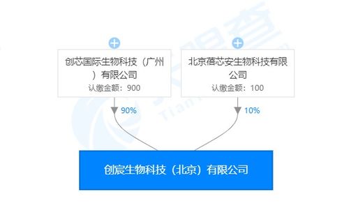 創(chuàng)宸生物獲創(chuàng)芯國際戰(zhàn)略加持，以類器官技術(shù)引領(lǐng)個(gè)體化醫(yī)療新紀(jì)元