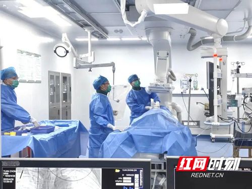 汝城縣人民醫(yī)院獲評心血管疾病防治技術(shù)牽頭單位，引領(lǐng)區(qū)域健康服務(wù)新篇章